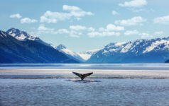 Alaska Permanent writes down value of 46 alternatives funds