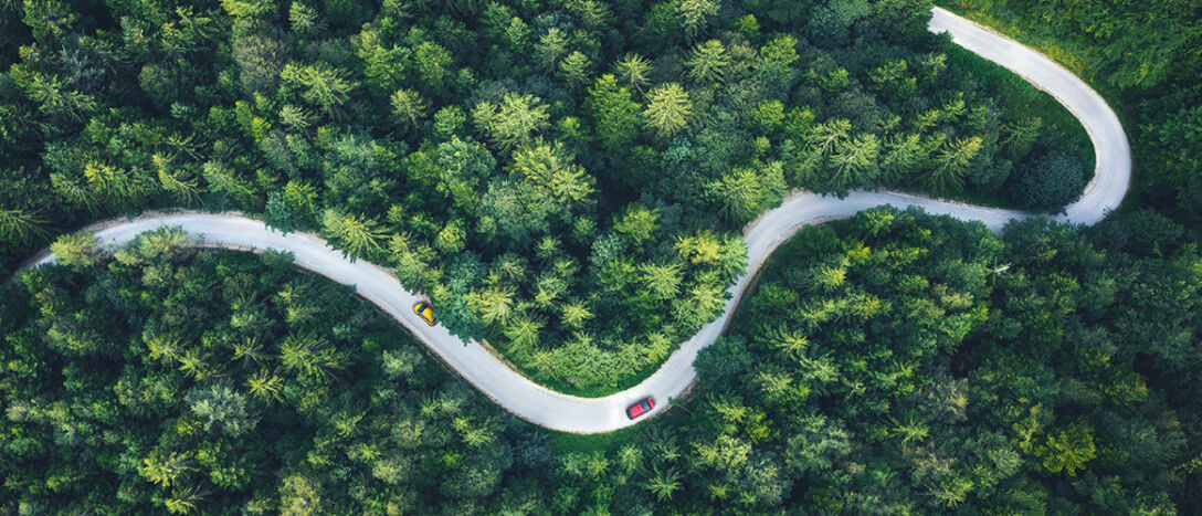 T9_0001_Winding-road