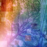 Private Markets 2030 sustainability theme banner