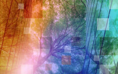 Private Markets 2030 sustainability theme banner