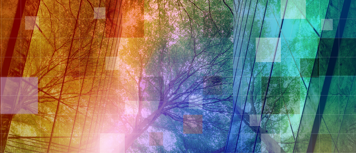 Private Markets 2030 sustainability theme banner