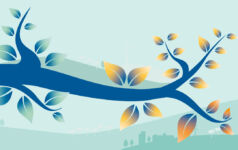 Infrastructure debt tree image.